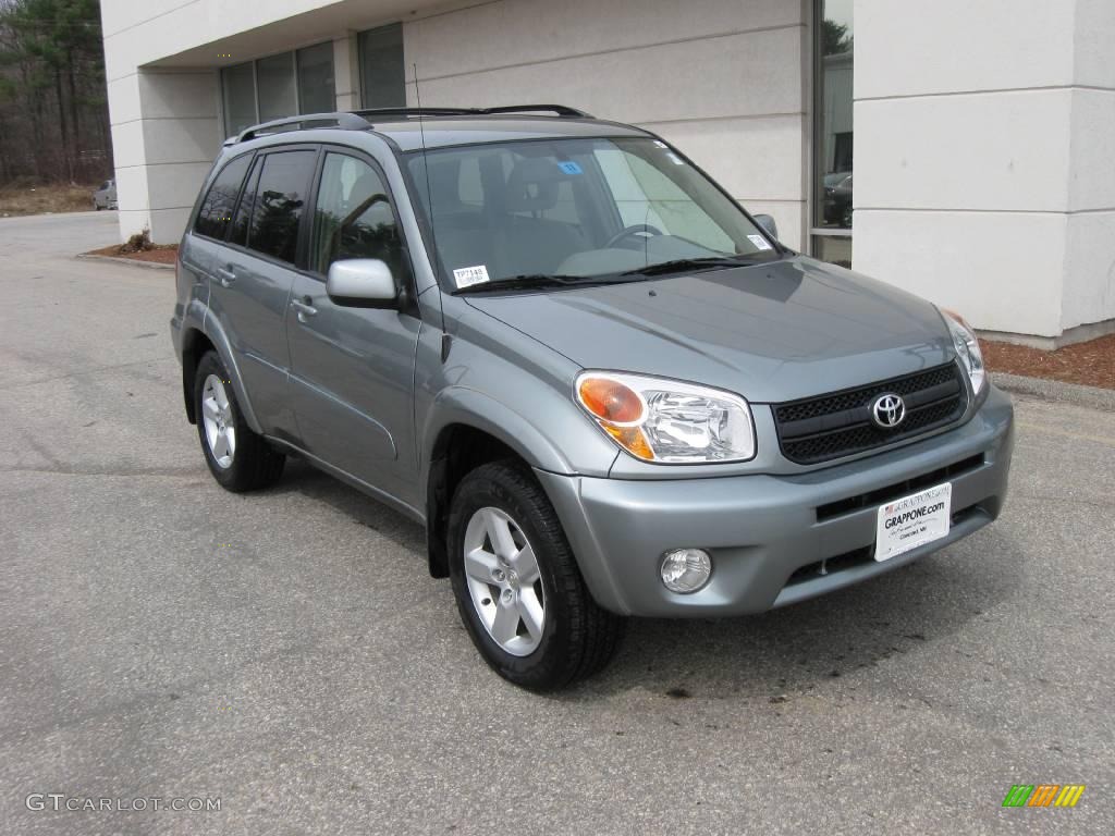 2004 RAV4 4WD - Titanium Metallic / Taupe photo #1