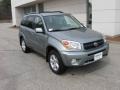 2004 Titanium Metallic Toyota RAV4 4WD  photo #1