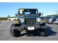 2003 Shale Green Metallic Jeep Wrangler X 4x4  photo #2