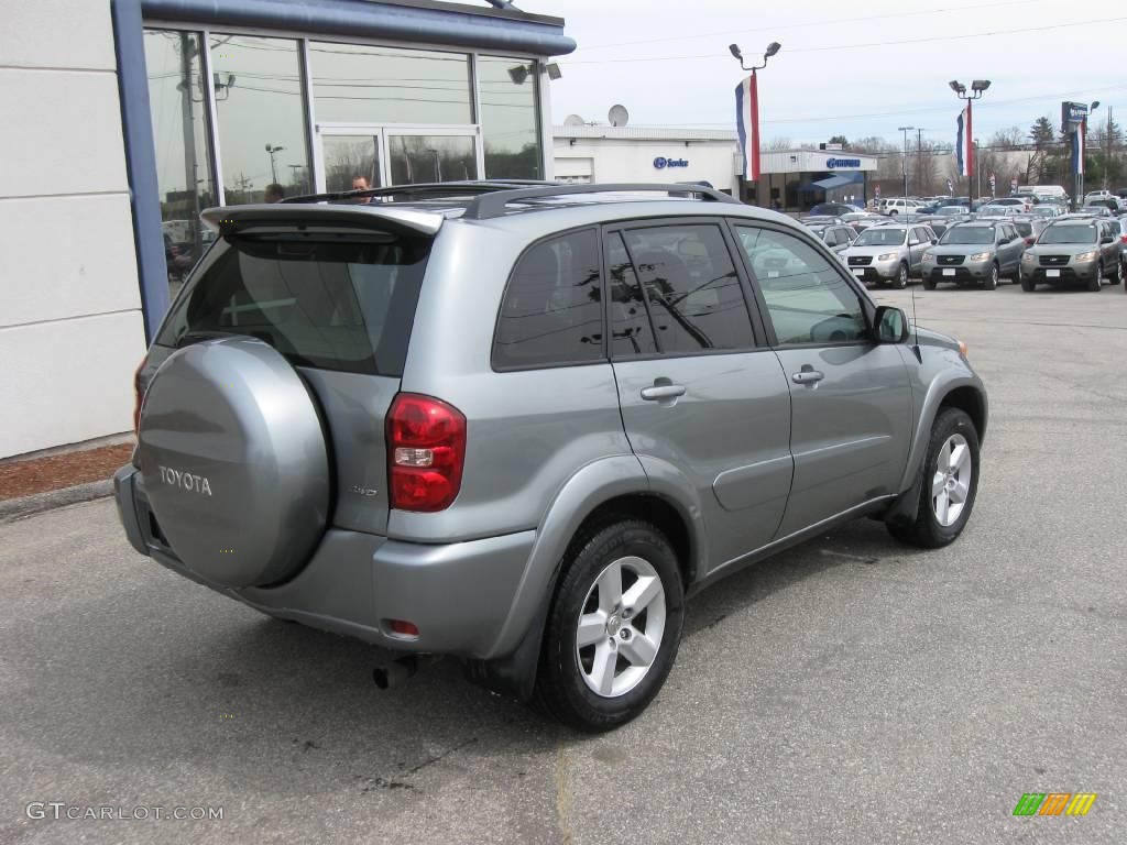 2004 RAV4 4WD - Titanium Metallic / Taupe photo #2