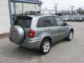 2004 Titanium Metallic Toyota RAV4 4WD  photo #2