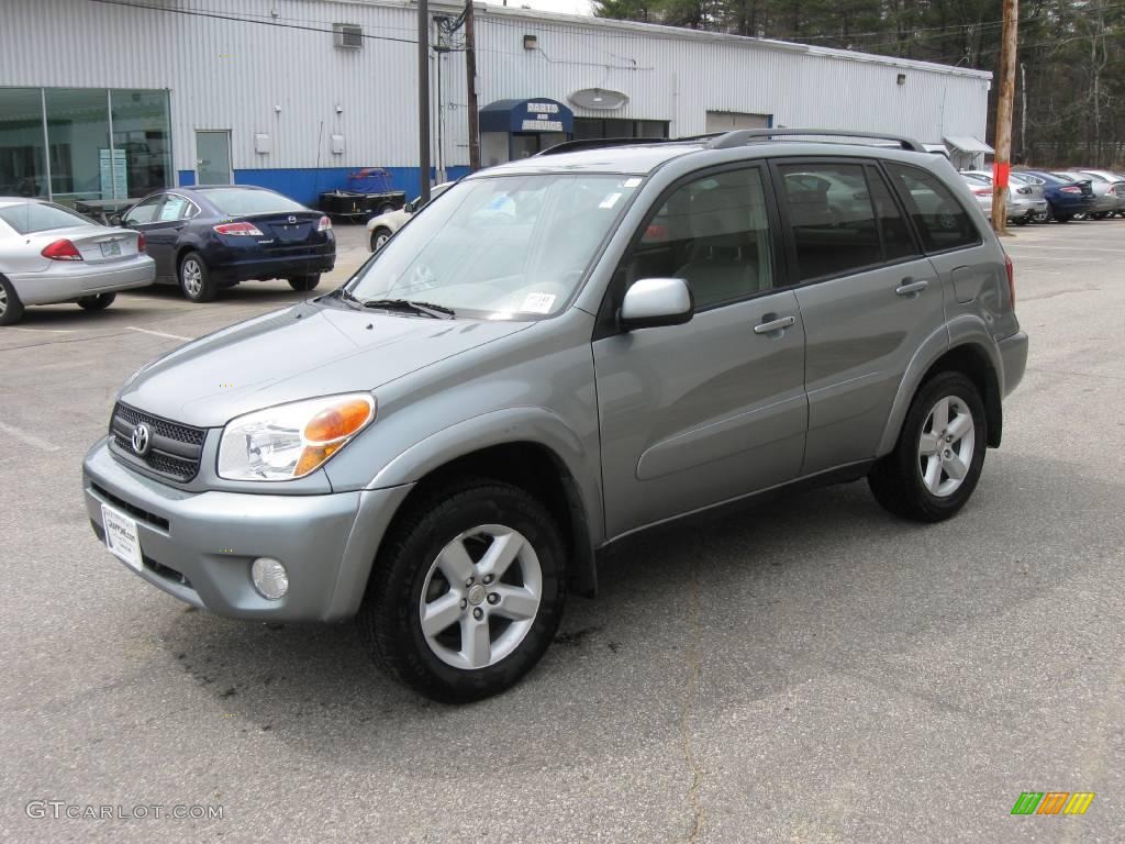 2004 RAV4 4WD - Titanium Metallic / Taupe photo #4
