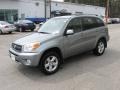 2004 Titanium Metallic Toyota RAV4 4WD  photo #4