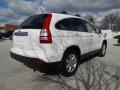 Taffeta White - CR-V EX-L 4WD Photo No. 5
