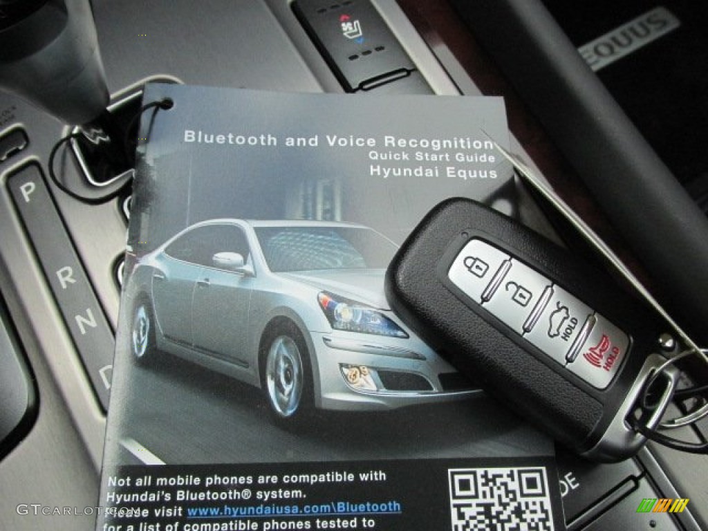 2013 Equus Signature - Platinum Metallic / Jet Black photo #16