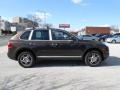 Macadamia Metallic - Cayenne Tiptronic Photo No. 4