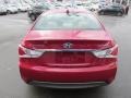 Venetian Red Pearl - Sonata Hybrid Photo No. 4