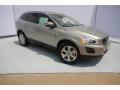 2013 Seashell Metallic Volvo XC60 3.2  photo #1