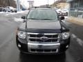 2009 Black Ford Escape Limited 4WD  photo #3