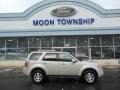 2009 Light Sage Metallic Ford Escape Limited V6  photo #1