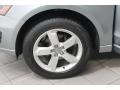 Ice Silver Metallic - Q5 3.2 quattro Photo No. 29