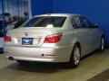 2010 Titanium Silver Metallic BMW 5 Series 528i xDrive Sedan  photo #9