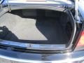 2004 Volkswagen Phaeton Sonnen Beige Interior Trunk Photo