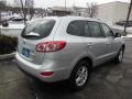 Moonstone Silver - Santa Fe GLS AWD Photo No. 6