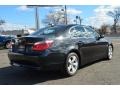 Jet Black - 5 Series 530xi Sedan Photo No. 7