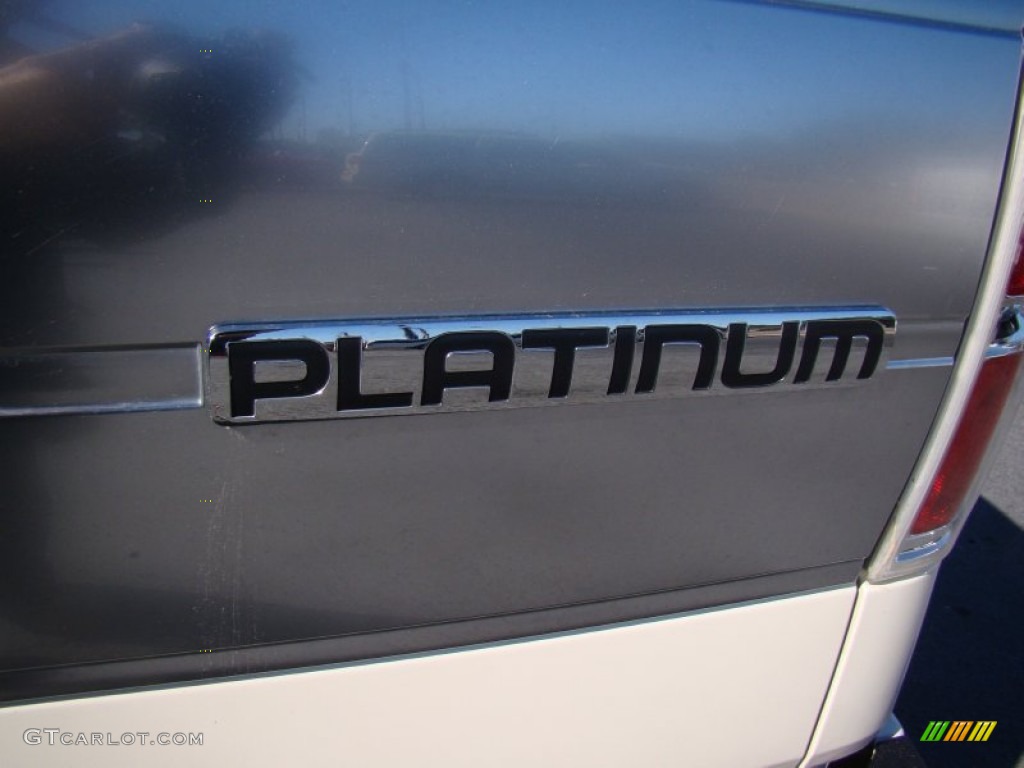 2009 F150 Platinum SuperCrew 4x4 - White Sand Tri Coat Metallic / Sienna Brown Leather/Black photo #30