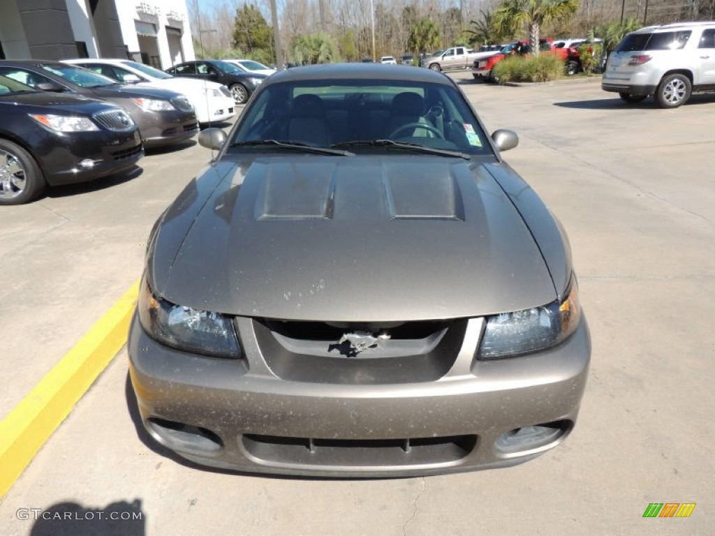 2003 Mustang Cobra Coupe - Dark Shadow Grey Metallic / Dark Charcoal/Medium Graphite photo #3