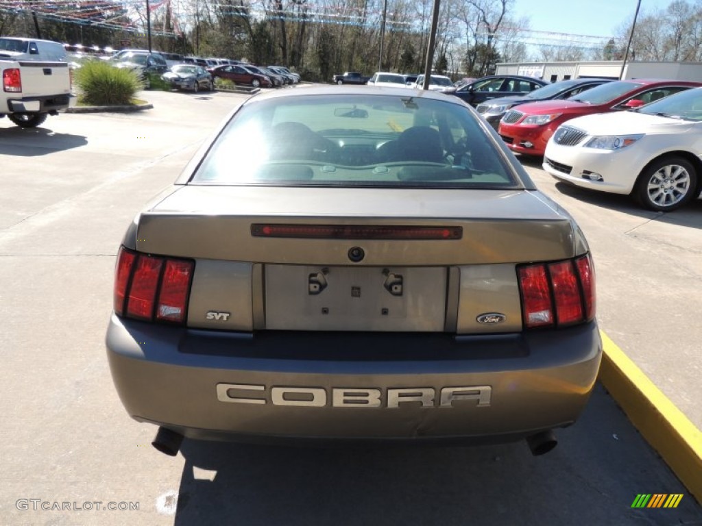 2003 Mustang Cobra Coupe - Dark Shadow Grey Metallic / Dark Charcoal/Medium Graphite photo #5