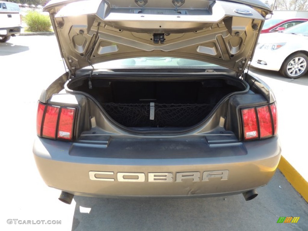 2003 Mustang Cobra Coupe - Dark Shadow Grey Metallic / Dark Charcoal/Medium Graphite photo #6