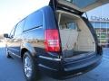 2010 Brilliant Black Crystal Pearl Chrysler Town & Country Limited  photo #14