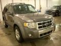 2009 Sterling Grey Metallic Ford Escape Limited V6  photo #24