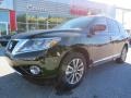 Super Black - Pathfinder SL Photo No. 1