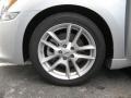 Radiant Silver - Maxima 3.5 SV Premium Photo No. 11