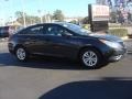 Pacific Blue Pearl - Sonata GLS Photo No. 2