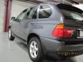 2003 Steel Grey Metallic BMW X5 3.0i  photo #14