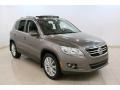 Alpine Grey Metallic - Tiguan SE 4Motion Photo No. 1