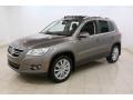 Alpine Grey Metallic - Tiguan SE 4Motion Photo No. 3