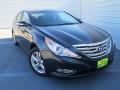 2013 Pacific Blue Pearl Hyundai Sonata Limited  photo #1