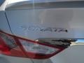 Radiant Silver - Sonata GLS Photo No. 5
