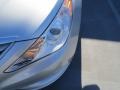 Radiant Silver - Sonata GLS Photo No. 9
