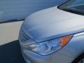 Radiant Silver - Sonata GLS Photo No. 10