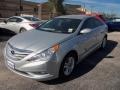 2013 Radiant Silver Hyundai Sonata GLS  photo #2