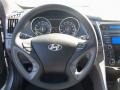 2013 Radiant Silver Hyundai Sonata GLS  photo #12