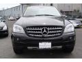 Black - ML 350 4Matic Photo No. 2