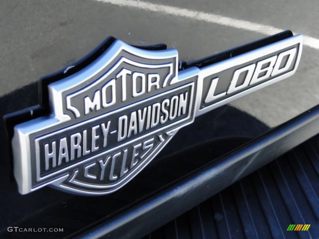 2001 F150 Harley-Davidson SuperCrew - Black / Black photo #14