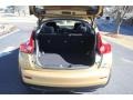 Atomic Gold - Juke SV Photo No. 6