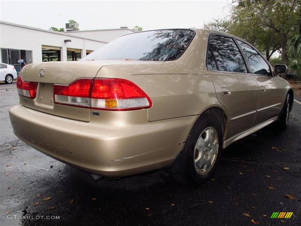 2002 Accord EX V6 Sedan - Naples Gold Metallic / Ivory photo #3