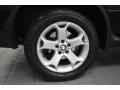 2006 BMW X5 3.0i Wheel and Tire Photo