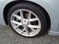 Radiant Silver Metallic - Maxima 3.5 SV Photo No. 3