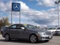 Palladium Silver Metallic - C 300 4Matic Luxury Photo No. 3