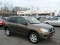 Pyrite Metallic - RAV4 I4 4WD Photo No. 1