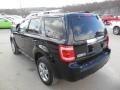 2009 Black Ford Escape Limited V6 4WD  photo #6