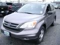 2010 Urban Titanium Metallic Honda CR-V LX AWD  photo #1