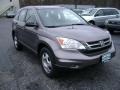 2010 Urban Titanium Metallic Honda CR-V LX AWD  photo #3