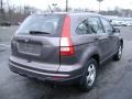 2010 Urban Titanium Metallic Honda CR-V LX AWD  photo #4