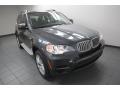 2013 Platinum Gray Metallic BMW X5 xDrive 35d  photo #6